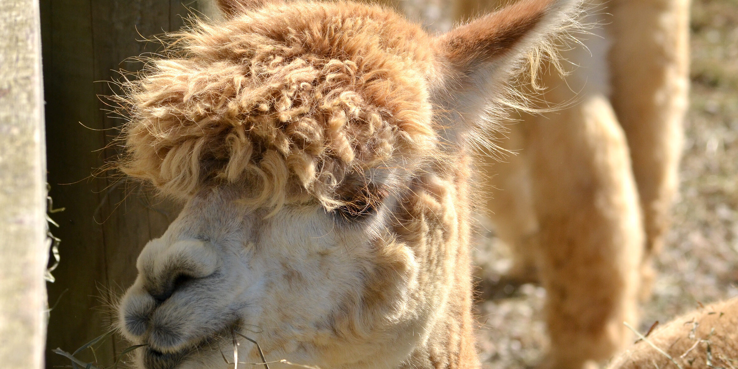 Фотоконкурс